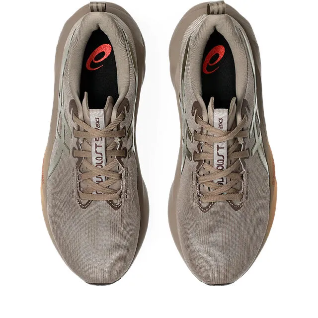 Asics Men Novablast 5 Luxe Running Shoe