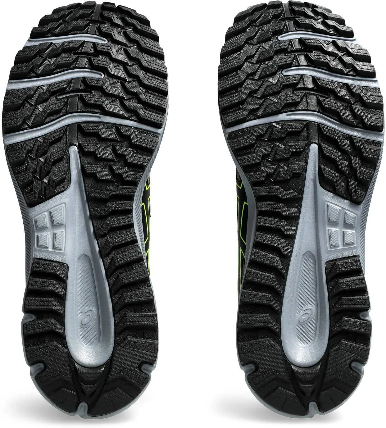 ASICS Men's Trail Scout 3 Running Shoe