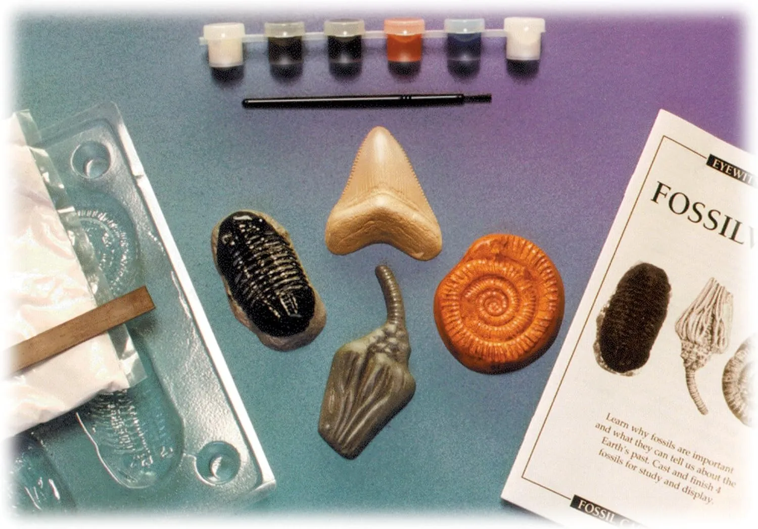 Eyewitness Kits Perfect Cast Fossilworks Cast, Paint, Display and Learn Craft Kit