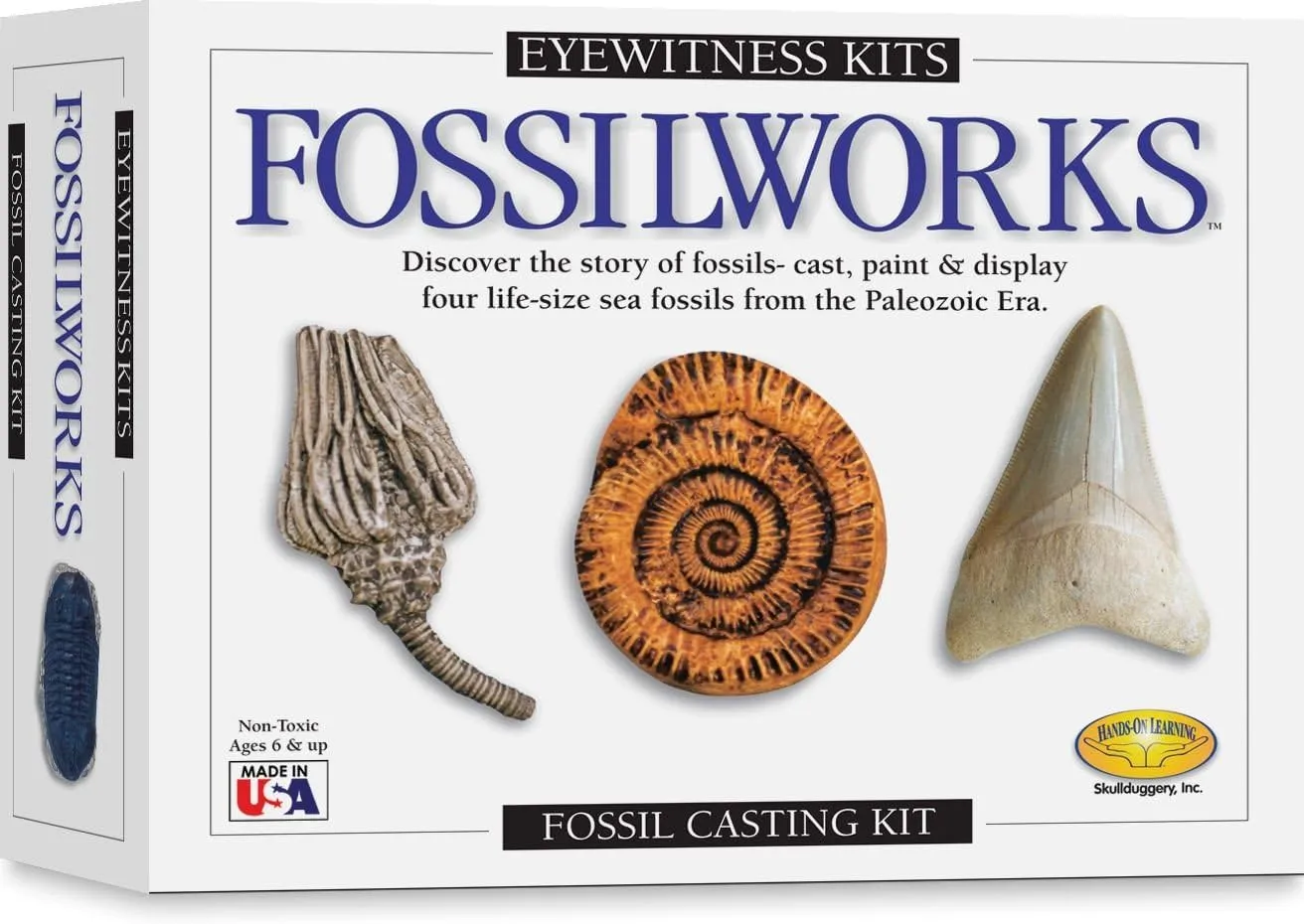 Eyewitness Kits Perfect Cast Fossilworks Cast, Paint, Display and Learn Craft Kit