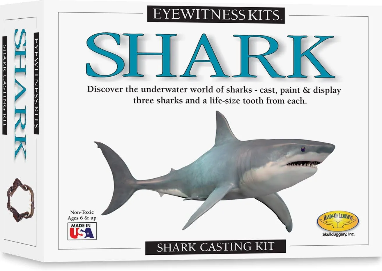 Eyewitness Kits Perfect Cast Sharks Cast, Paint, Display and Learn Craft Kit