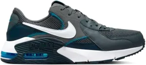 Nike Men's Running Shoe