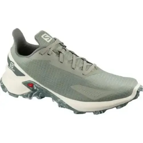 Running Shoes Alphacross Blast Salomon