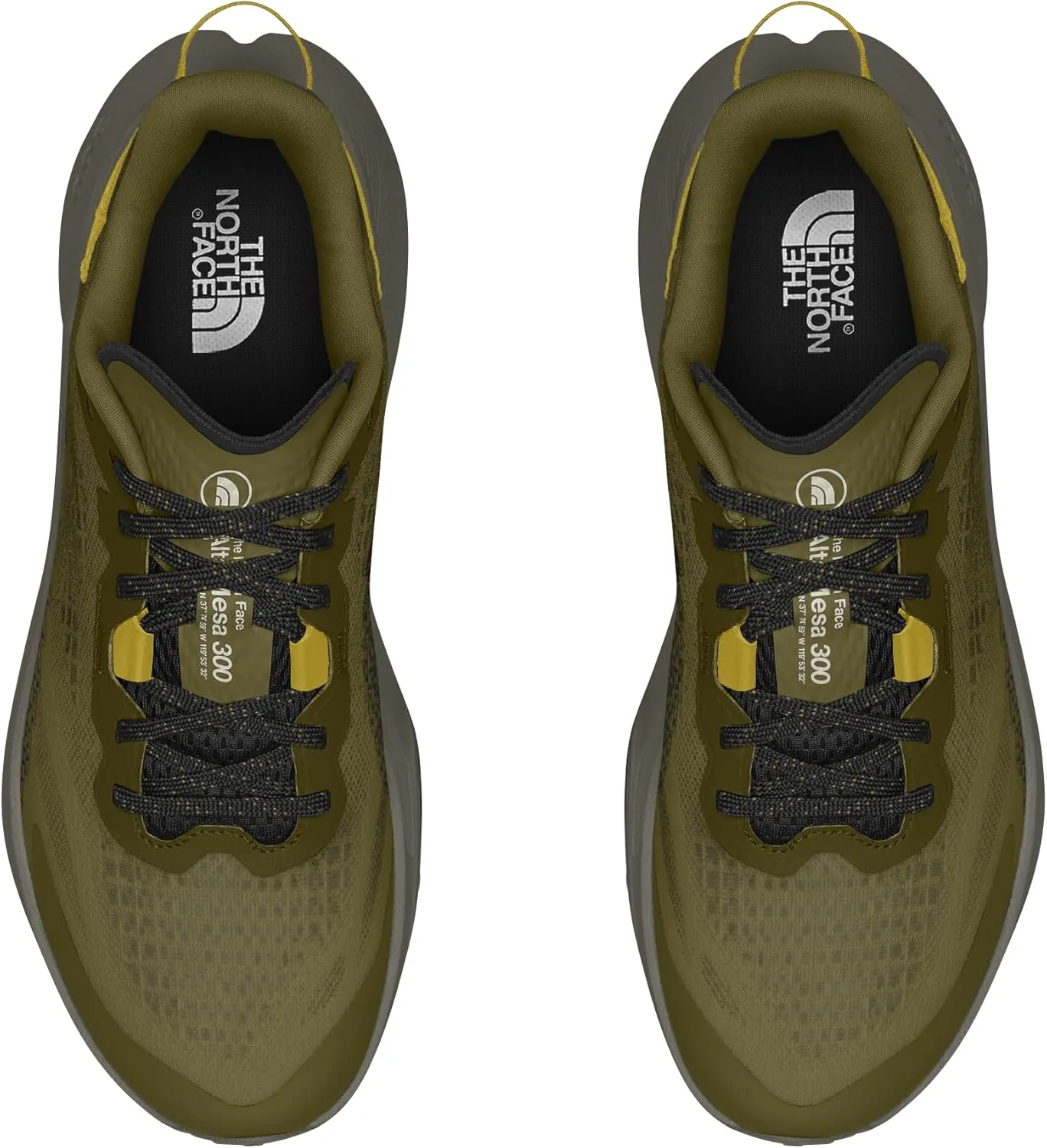 THE NORTH FACE Men's Altamesa 300 Hiking Shoe